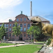 Senckenberg Museum Frankfurt