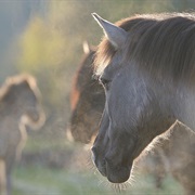 Roztocze National Park, Poland