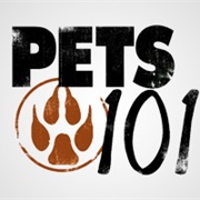 Pets 101