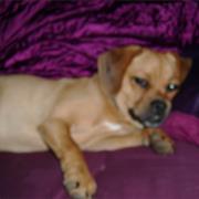 Yacøpsæ / Bizarre X ‎– Al Bano & Romina Power Violence / Untitled