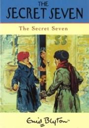 The Secret Seven Books