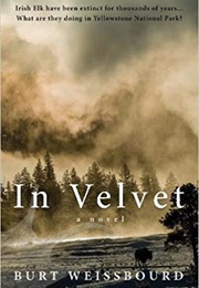 In Velvet (Burt Weissbourd)