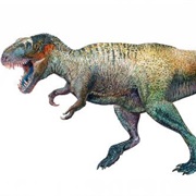 Tyrannosaurus