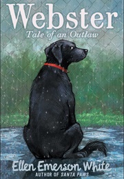 Webster: Tale of an Outlaw (Ellen Emerson White)