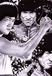 Bruceplotation (2012)