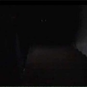 "Wishbone" Halloween Hound: The Legend of Creepy Collars