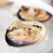 Raw Clams