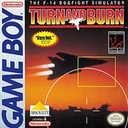 Turn and Burn: The F-14 Dogfight Simulator