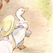 Mr. Drake Puddle-Duck