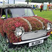 Tatton Flower Show