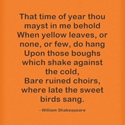 "Sonnet 73: That Time of Year Thou Mayst in Me Behold" by William Shakespeare