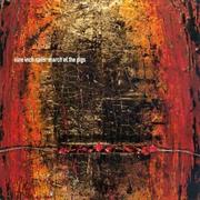 Nine Inch Nails - March of the Pigs