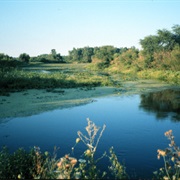 Detroit River International Wildlife Refuge