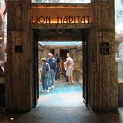 Lion Habitat at MGM Grand Hotel and Casino