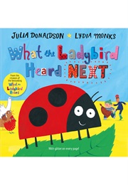 What the Ladybird Heard Next (Julia Donaldson)
