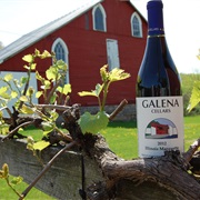 Galena Cellars Vineyard & Winery (Galena, IL)