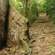 Harmony Studios and the Reef Bay Trail