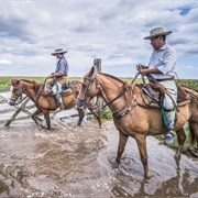 Gaucho Culture