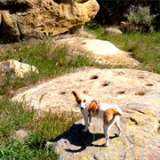 Black Star Canyon Indian Village Site