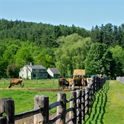 Billings Farm