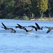 Raymond Gary State Park, Oklahoma