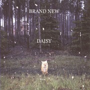 Daisy - Brand New