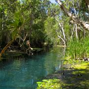 Elsey National Park (NT)