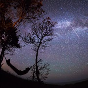 Sleep in a Hammock Under the Stars