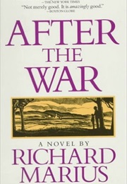 After the War (Richard Marius)