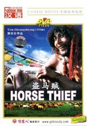 The Horse Thief