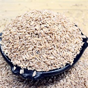 Ethiopian Oat (Avena Abyssinica)
