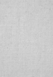 An Extraordinary Study in Human Degradation (2008)