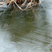 Unseeded Primary Ice/Grease Ice