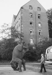 Artists Under the Big Top: Perplexed (Kluge)