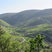 Ajloun Forest Reserve, Jordan