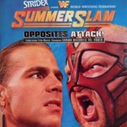 Summerslam 1996