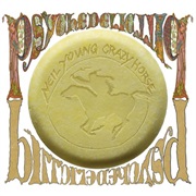 Neil Young &amp; Crazy Horse - Psychedelic Pill