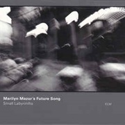 Marilyn Mazur's Future Song ‎– Small Labyrinths