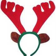 Reindeer Antlers