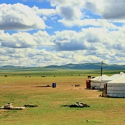 The Steppe