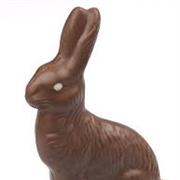 Chocolate Easter Bunny