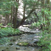 Kooser State Park, Pennsylvania