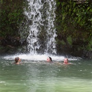 Swim in a Waterfall