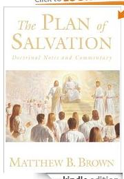 Plan of Salvation by Matthew Brown