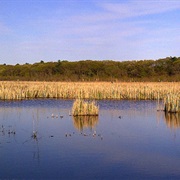 Great Meadows National Wildlife Refuge