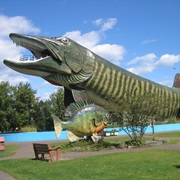 Fresh Water Fishing Hall of Fame & Museum (Hayward, WI)