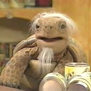 Jeremiah Tortoise