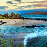 Galapagos Islands, Ecuador