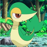 Snivy