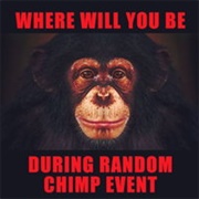 Random Chimp Event